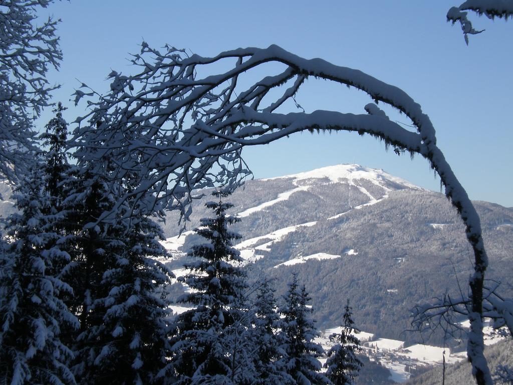 Oberlechnerhof Bed and Breakfast Rasun di Sopra Eksteriør billede